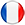 French flag icon